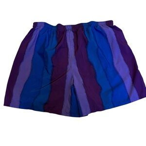 90s Reebok Purple and Blue Striped Running‎ Shorts Made in USA XL